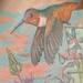 Tattoos - Color Humming Bird and Flowers Tattoo - 61942